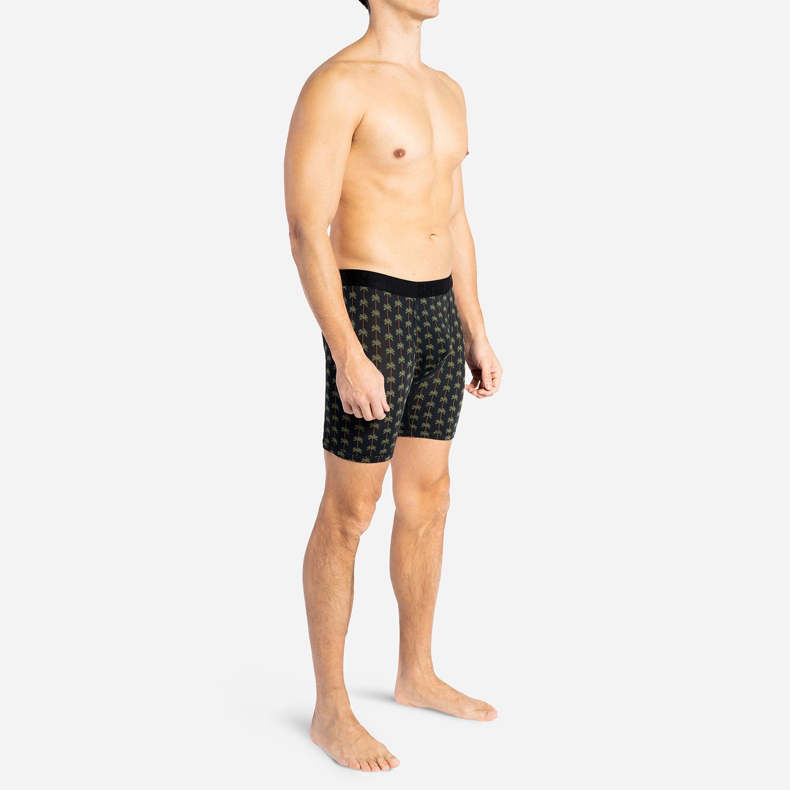 Best Fitting Boxer Briefs | Palm Stripe Black | BN3TH – BN3TH.com